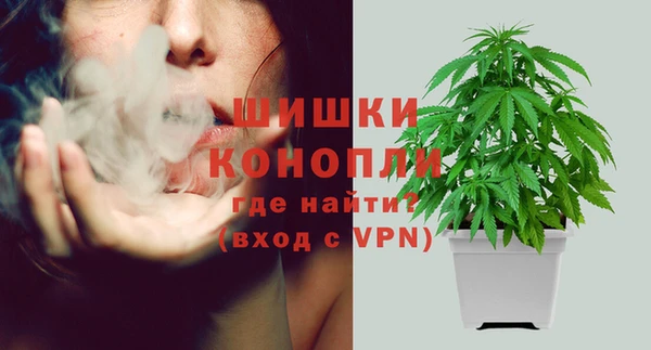 молекула духа Бородино