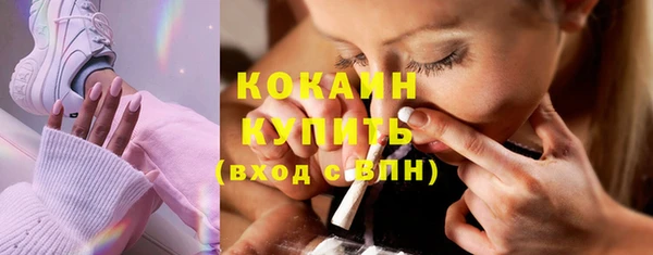 крисы Бронницы