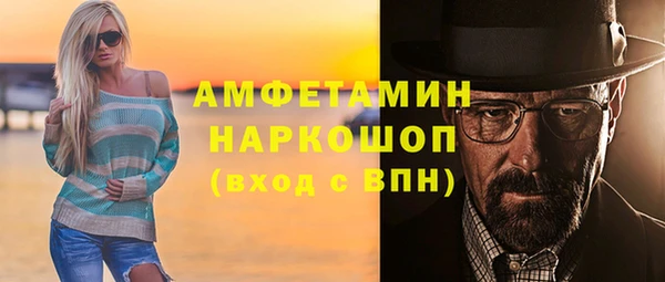 молекула духа Бородино