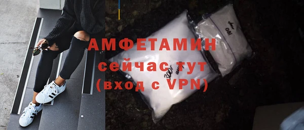 молекула духа Бородино