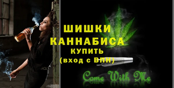 молекула духа Бородино
