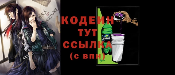 молекула духа Бородино