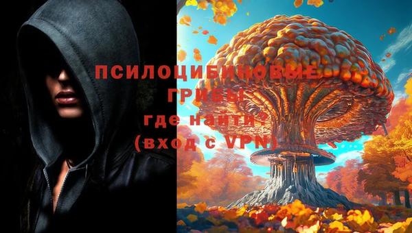 spice Бугульма