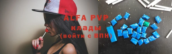 молекула духа Бородино