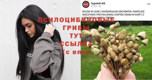 spice Бугульма
