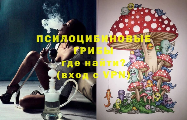 spice Бугульма