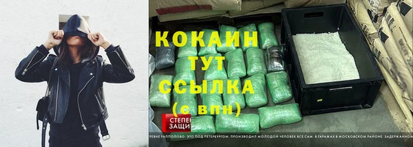 крисы Бронницы