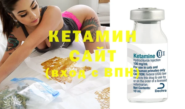 крисы Бронницы