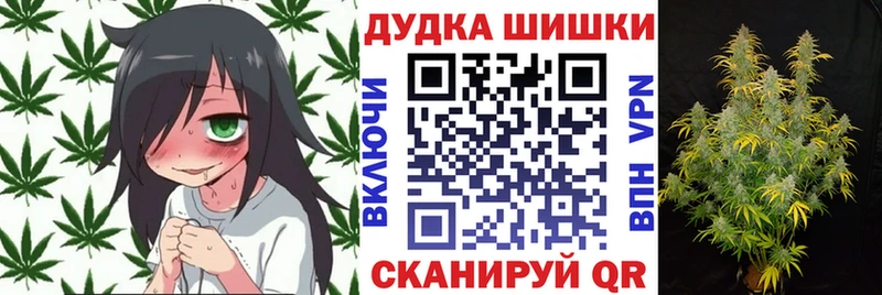 Каннабис VHQ  Купить закладки  Нестеровская 